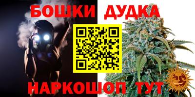 дурь Шебекино