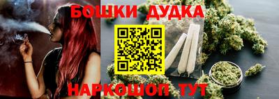 прущие грибы Шахты