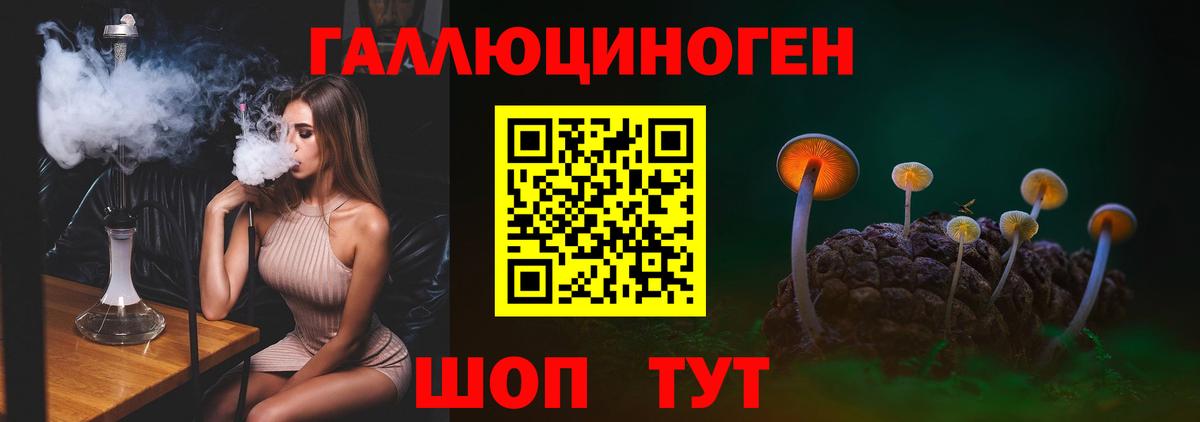 Галлюциногенные грибы Psilocybe Обь